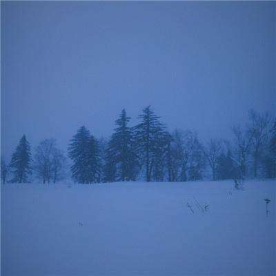 半岛官方网站入口下载