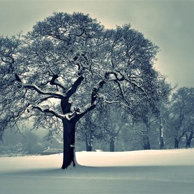 亚星娱乐网手机app下载