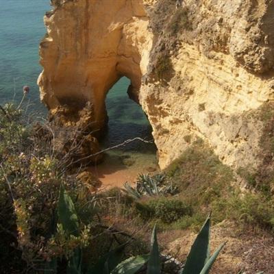 澳门网上黄金城老品牌官网版