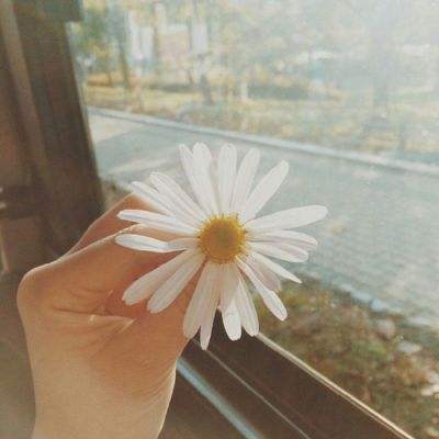 BET体育365投注官网下载手机版