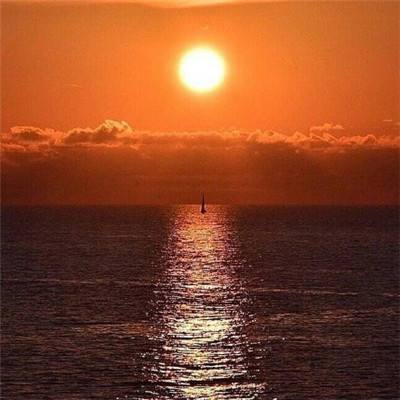 bob综合在线体育