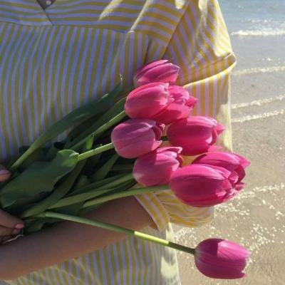 永盈会app下载截图